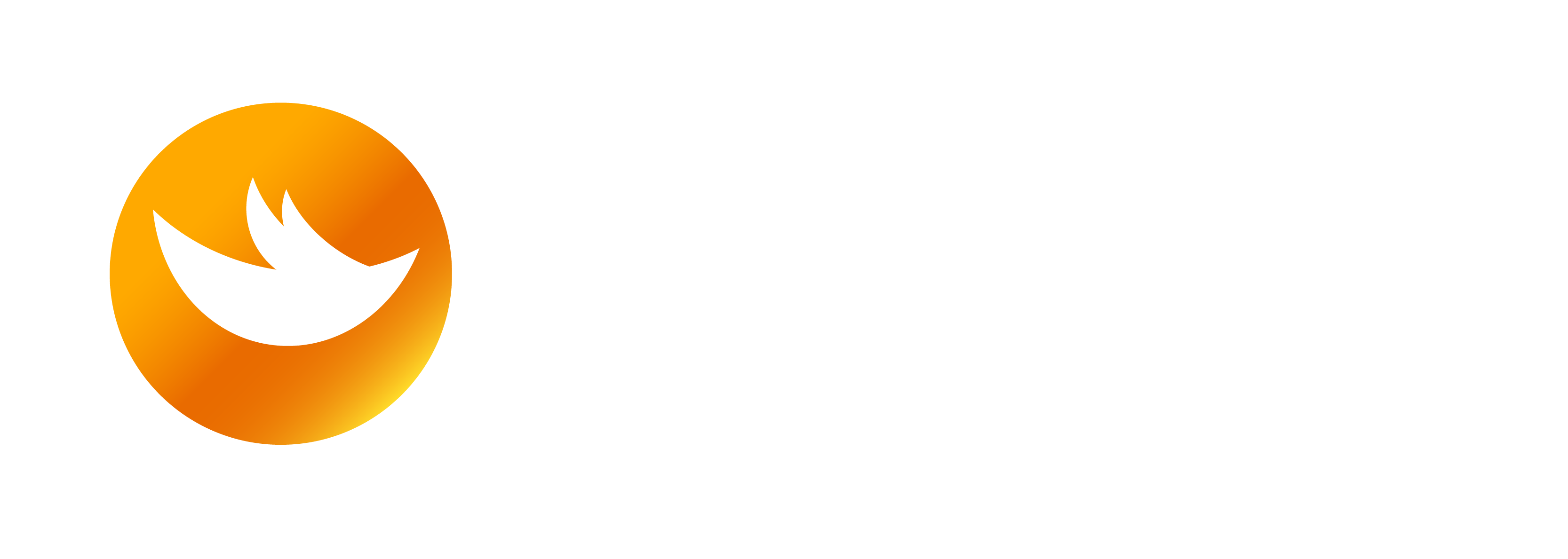 迅鸟集